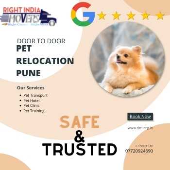 Pet Relocation Pune