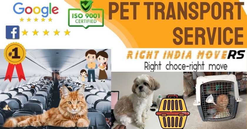 pet transport service in chakan pune