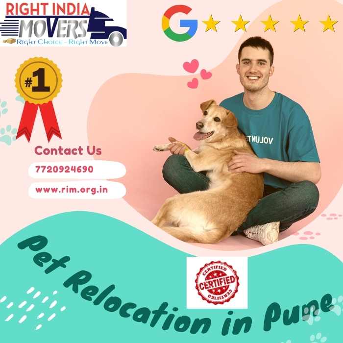 Pet Relocation in Pune
