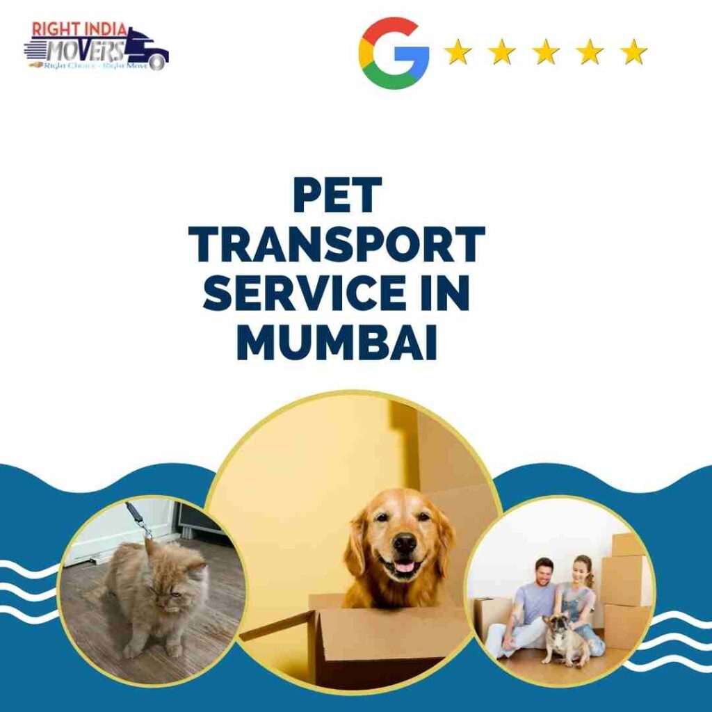 pet transport service in mumbai