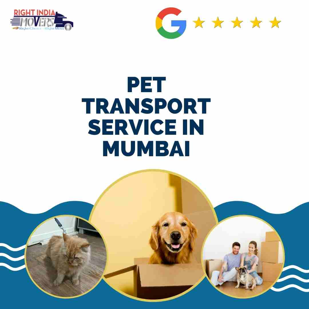 Pet Transport Service in Mumbai Right India Movers
