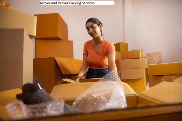 packers and movers chinchwad